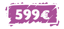 Web-Visitenkarte Komplettpaket nur 599 EUR